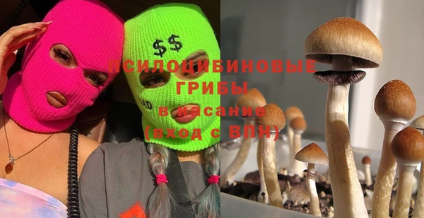 МДПВ Алексин