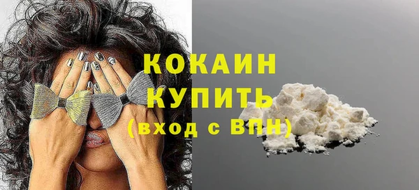стаф Магас