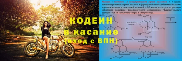 стаф Магас