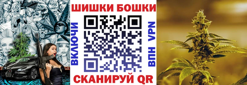 Бошки Шишки планчик  МЕГА ТОР  Бердск  где можно купить  